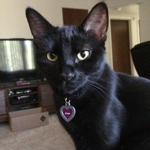 Meet your Posher, Sergio